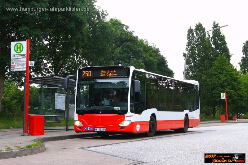 25) 8218-12,SBG,JN.jpg